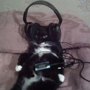 Meet your Posher, Starlight